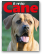 Il Mio Cane